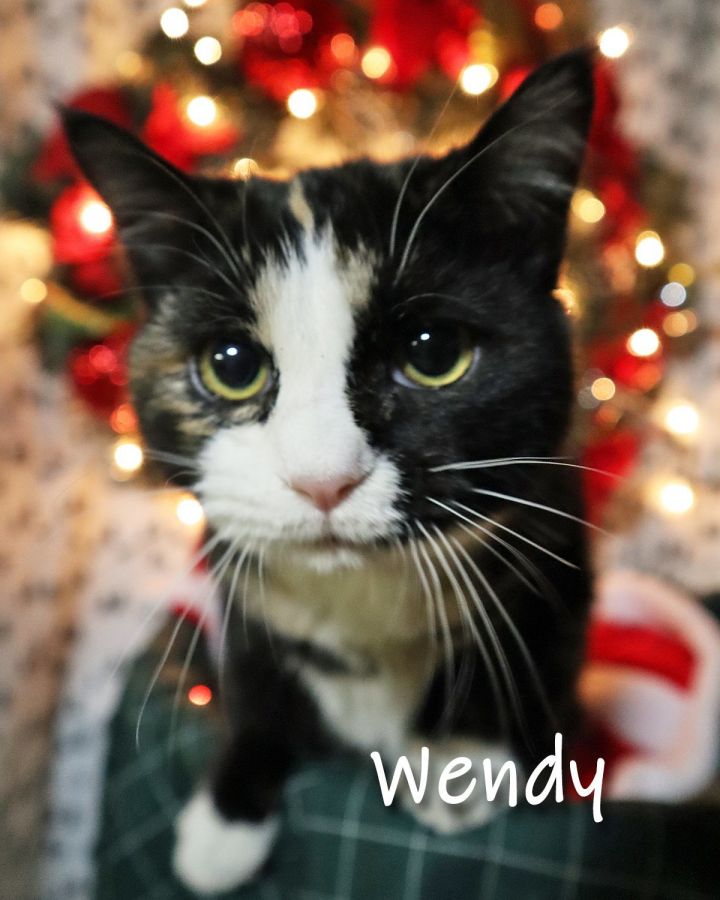 Wendy 1