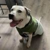 Camilo - Special Needs Sweetheart