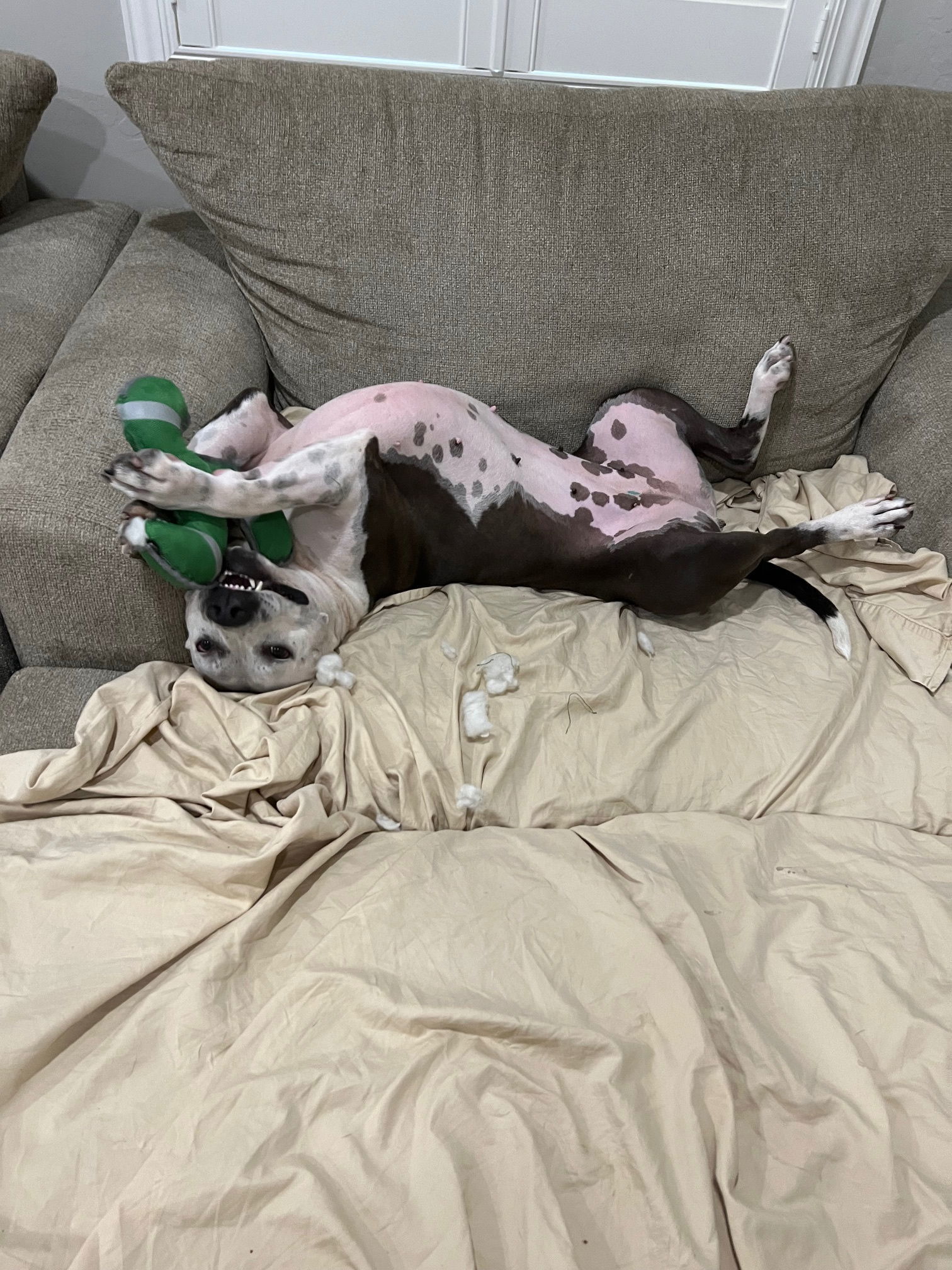 Taffy