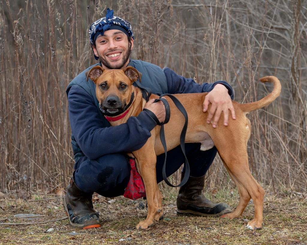 Bailey, an adoptable Black Mouth Cur in Hyde Park, NY, 12538 | Photo Image 4