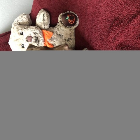 Little Peanut 3