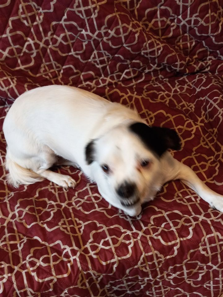 Trudy 1