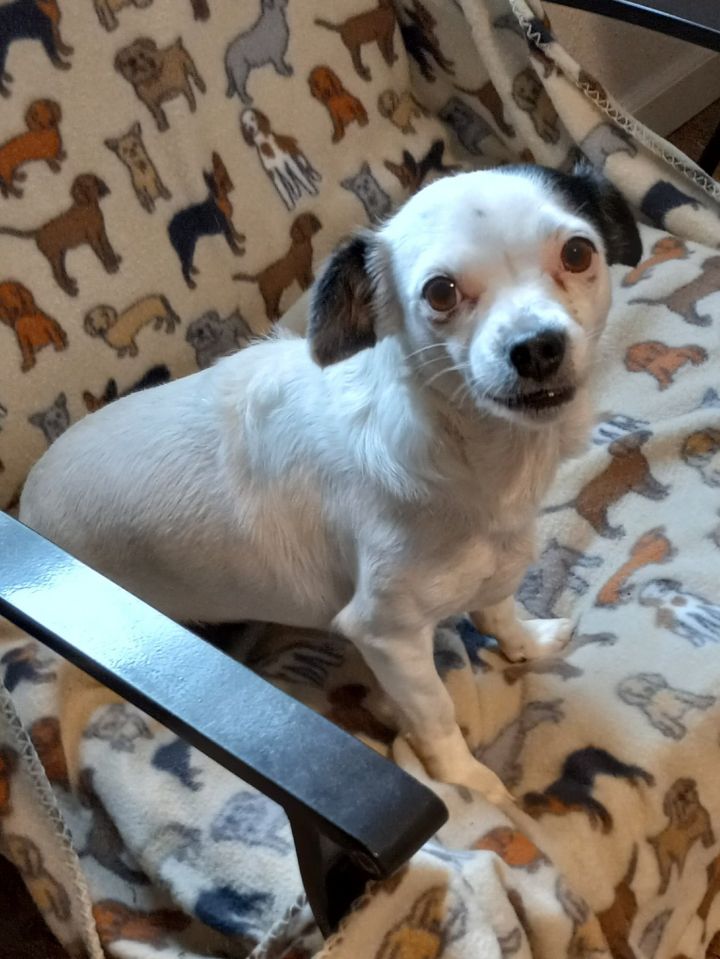 Trudy 2