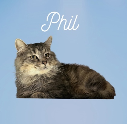 Phil 1