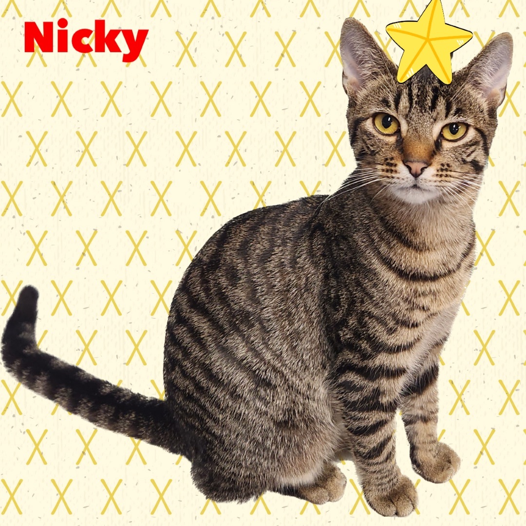 Nicholas (Nicky)