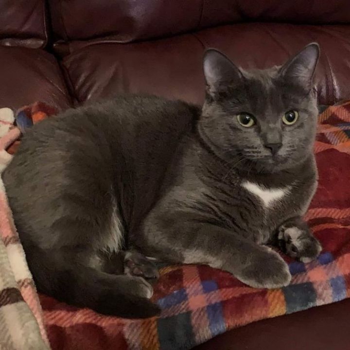 Duchess 3