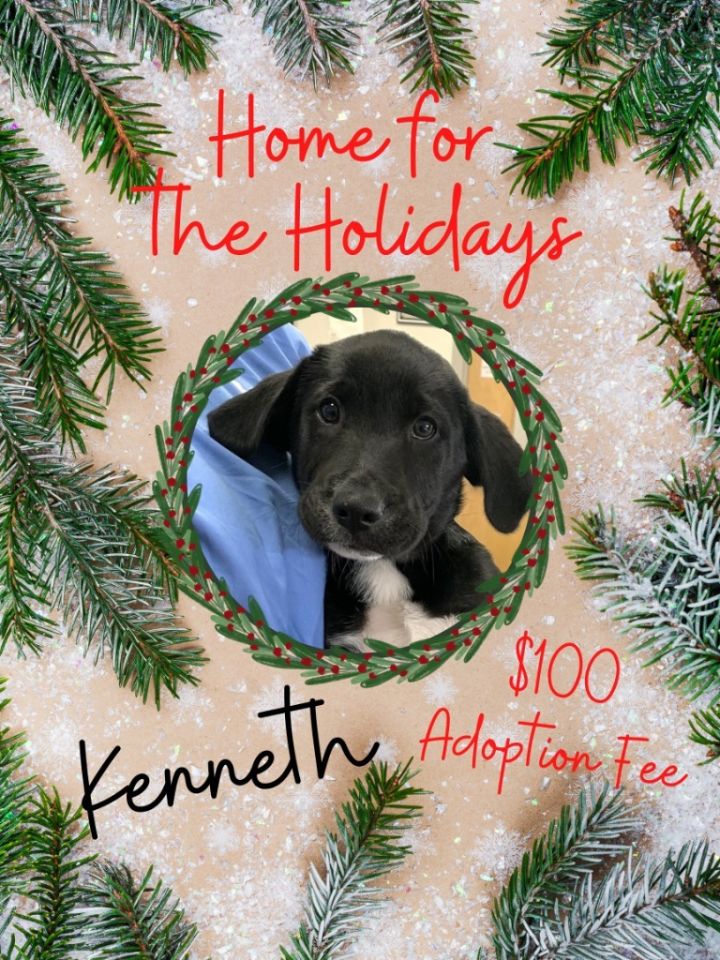 Kenneth 3