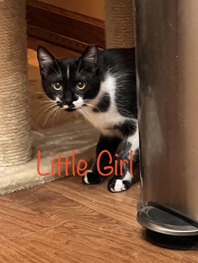 Little Girl Nemtusiak