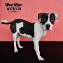 WEE MAN's profile on Petfinder.com