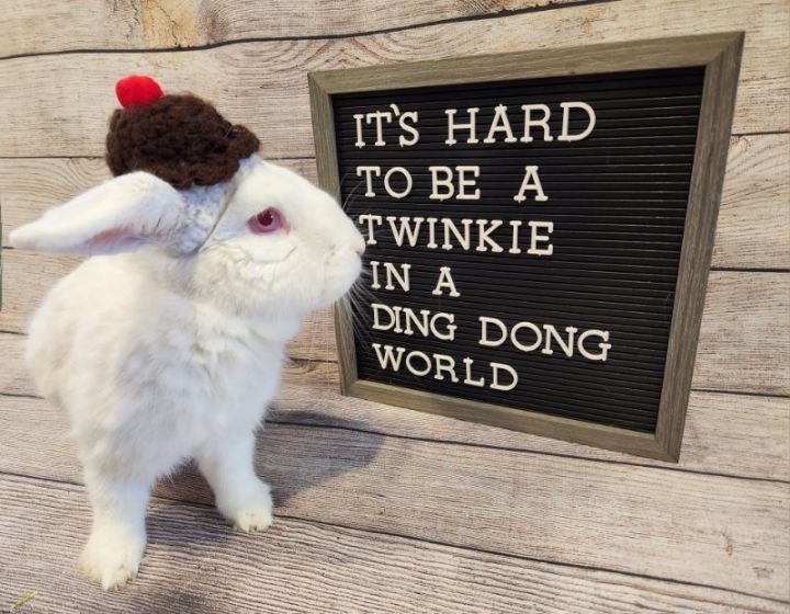 Twinkie 3