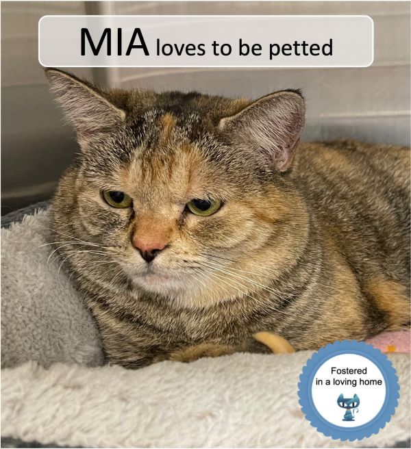 Mia