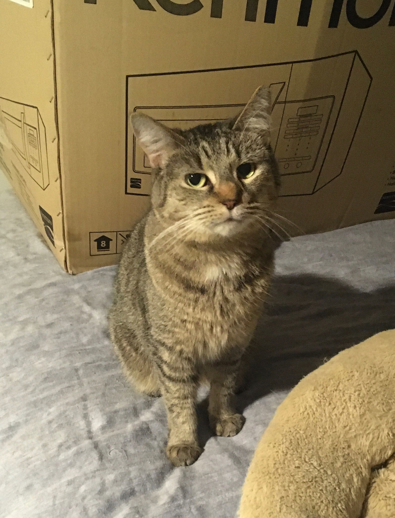 Shelley bonded with Buttercup