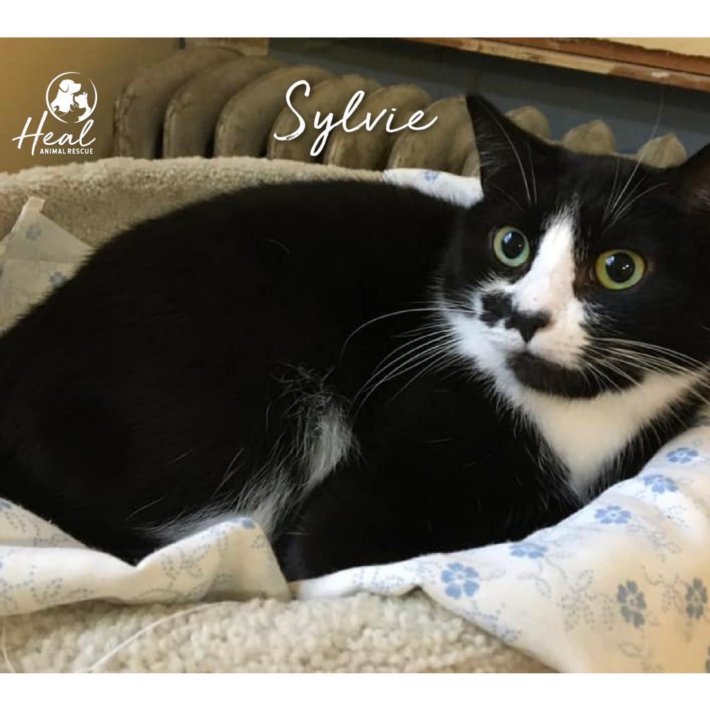 Sylvie