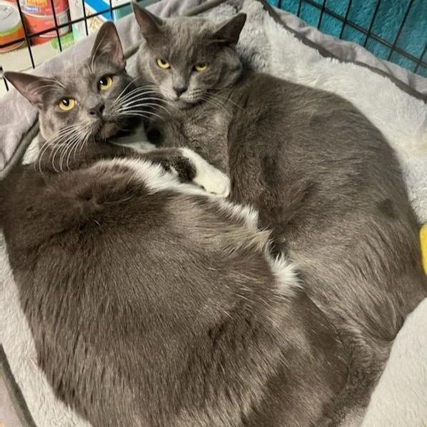 Coraline & Magnolia 2