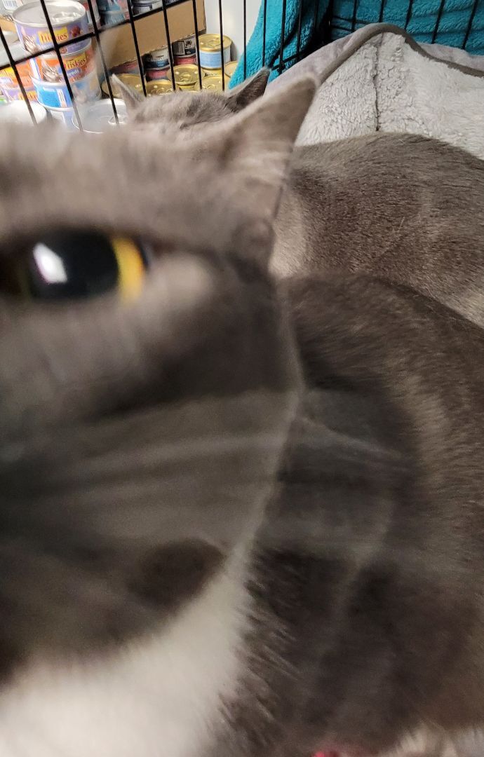 Coraline & Magnolia 6