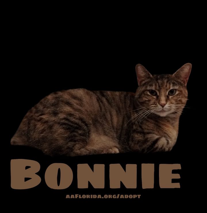 Bonnie 2