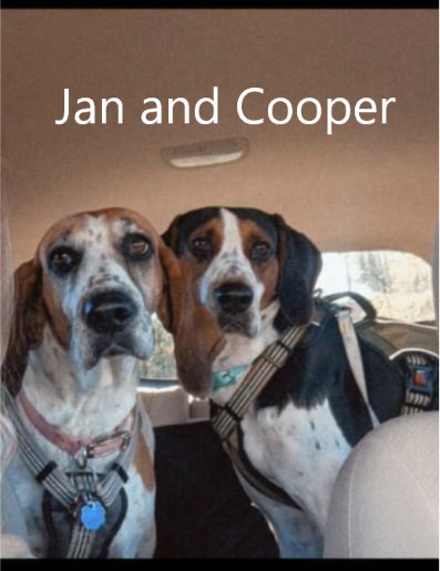 Jan and Cooper, an adoptable Hound in Chatham, VA, 24531 | Photo Image 1