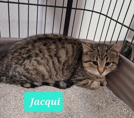 Jacqui-Sponsored 2