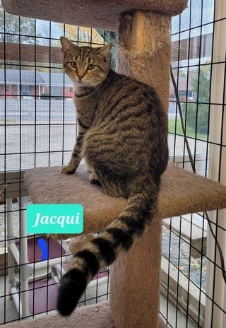 Jacqui-Sponsored 3