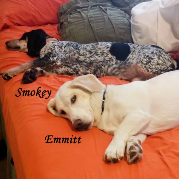 Emmitt and Smokey