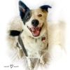 Gordy photo 2