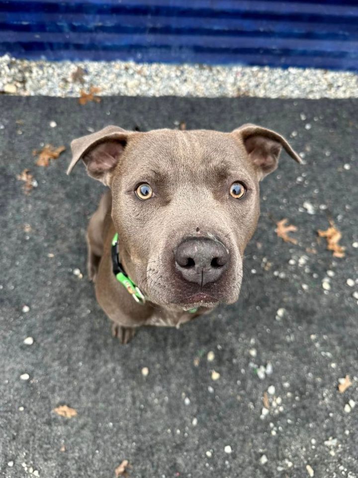 Benny 1