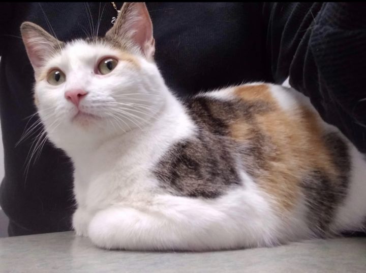 Peaches 2