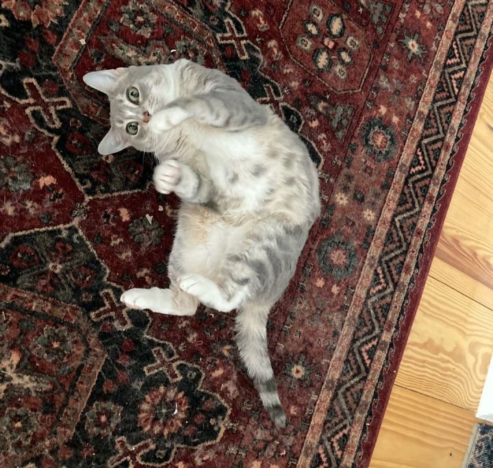 Sophie 3