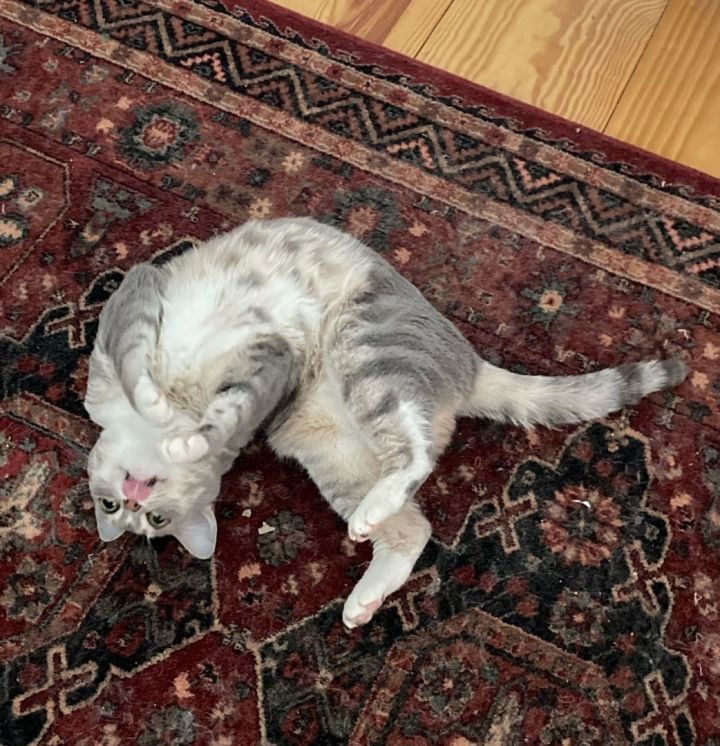 Sophie 4