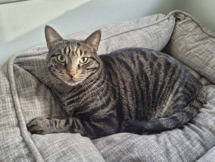 C224 brothers Ollie 1