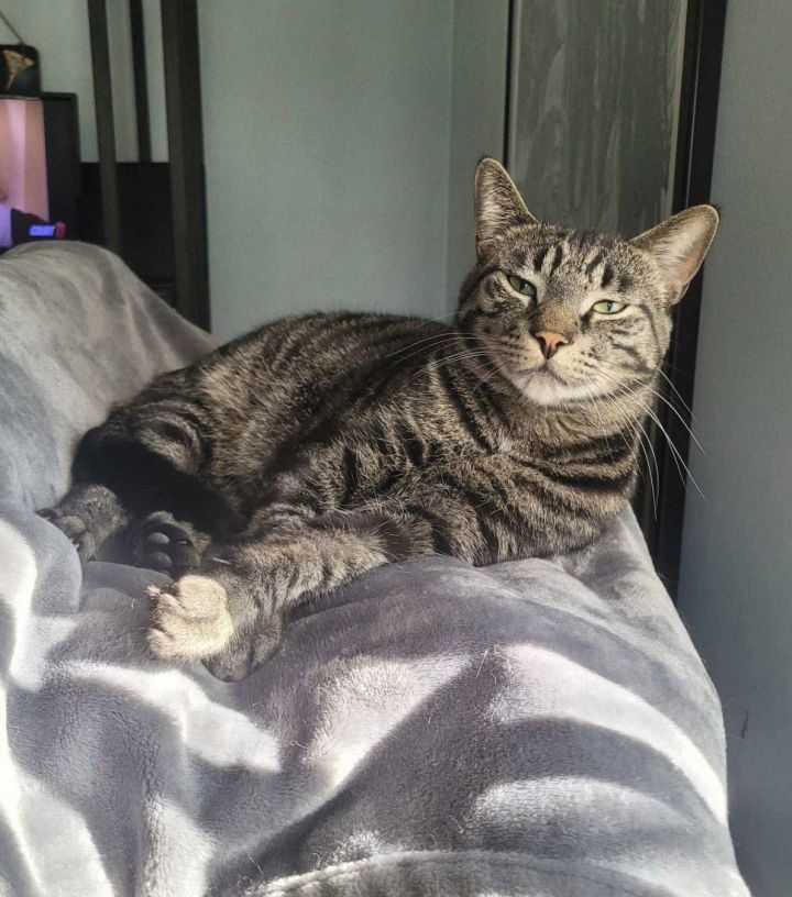 C224 brothers Ollie 2