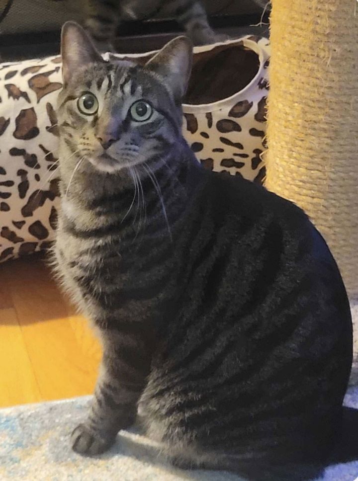 C224 brothers Ollie 3