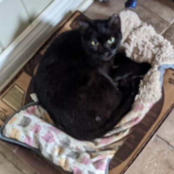 Kiki
