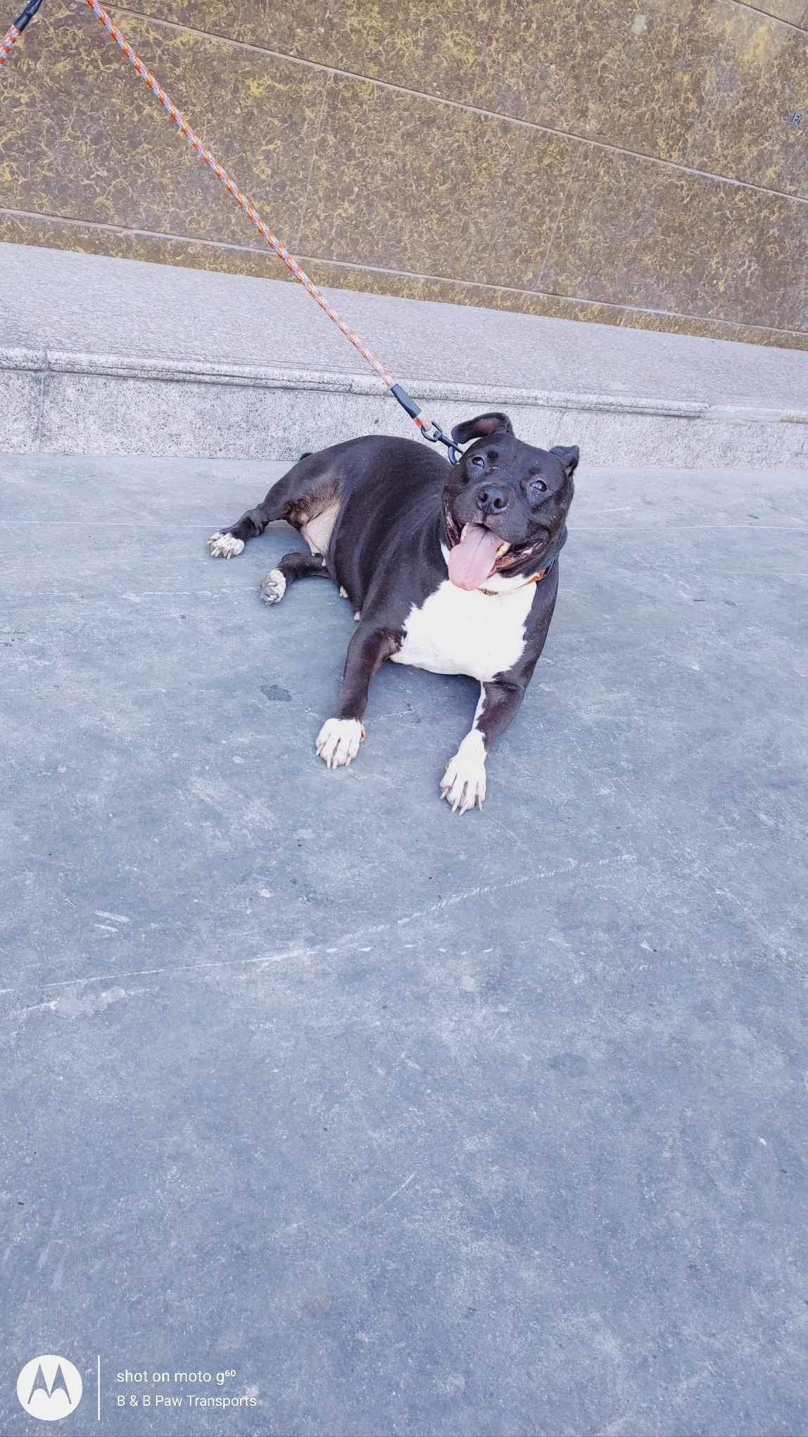 Tinker