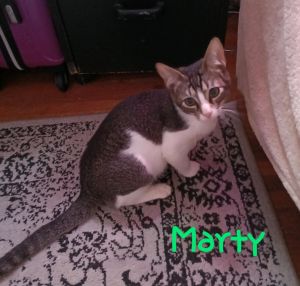 Marty