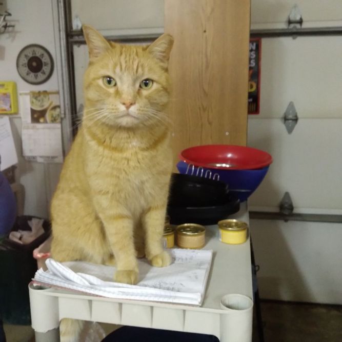 Bernie (located in Midland)