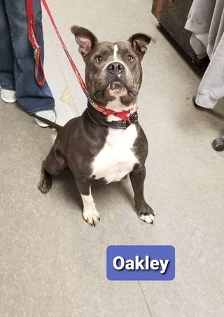 Oakley-Sponsored