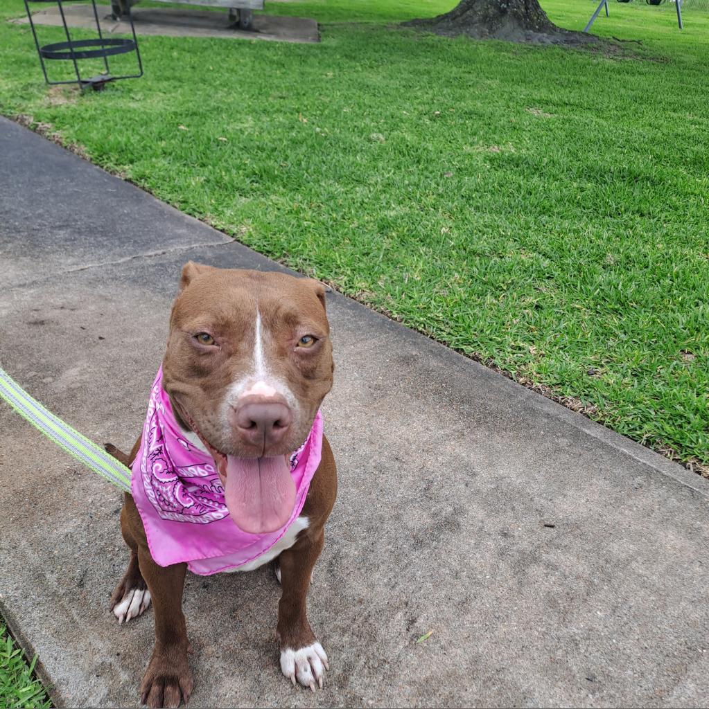Penny