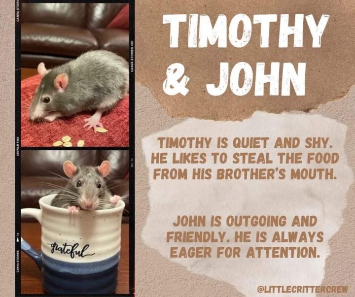 Timothy&John 1