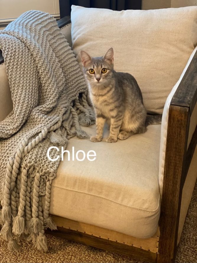 Chloe
