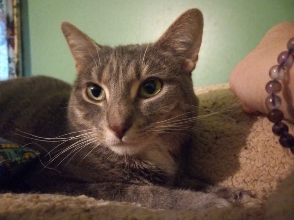 Sawyer