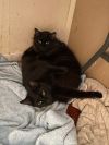 Esma (&Isla)