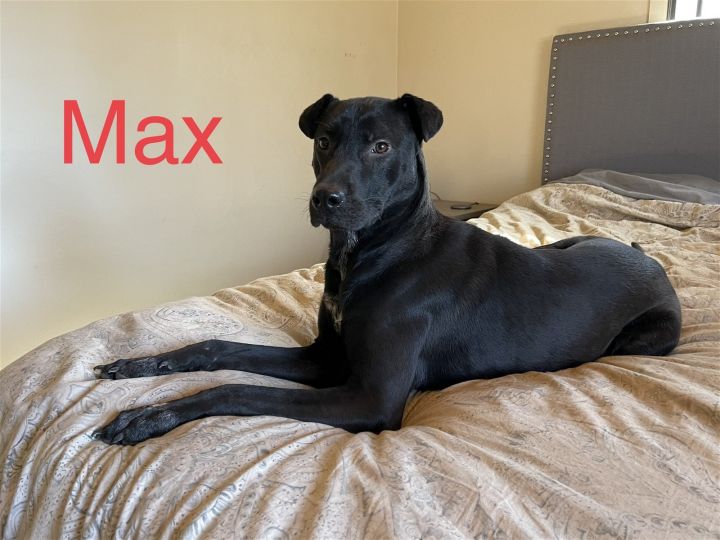Max 2