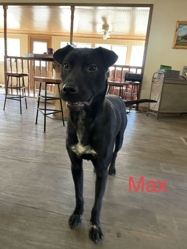 Max 3