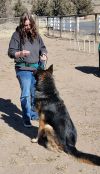 Kobe (PUPDATE and video added)
