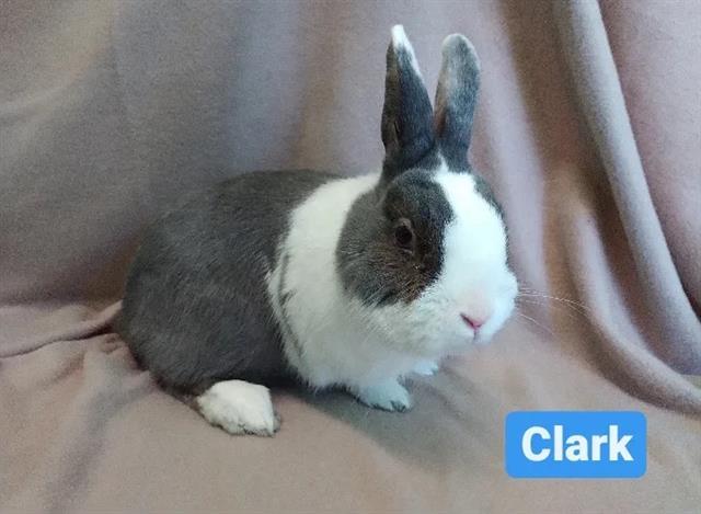 CLARK