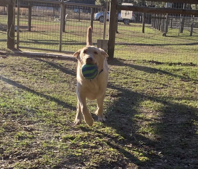 Tucker