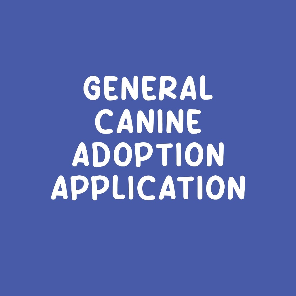 General Canine Application, an adoptable Mixed Breed in Saint Charles, MO, 63303 | Photo Image 1