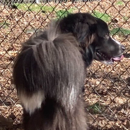 Odie Isaiah 3