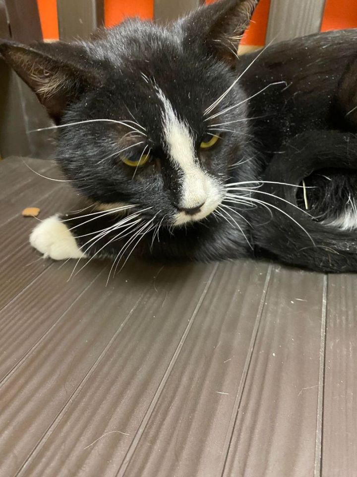 Tux 3